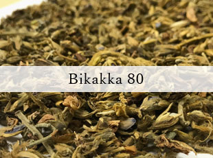 Bikakka 80