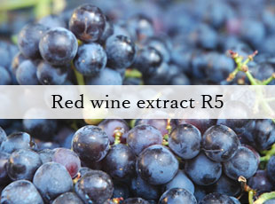 Red wine extract R5
