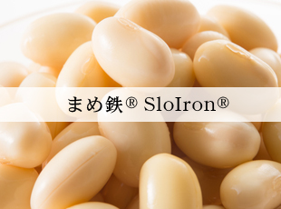 まめ鉄SloIron